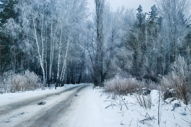 Similar image 12343481