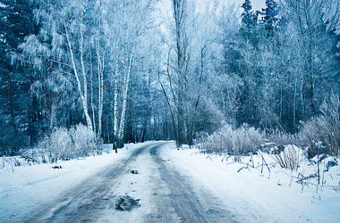 Similar image 12343501