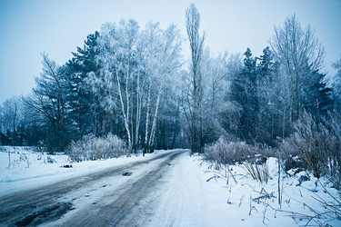 Similar image 12343502