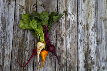 Similar image 12350386