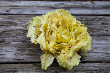 Similar image 12350390