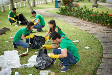 Similar image 12345646