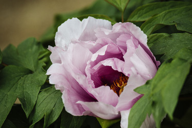 Similar image 12346988