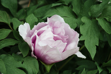 Similar image 12346990