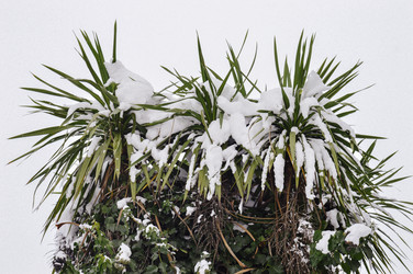 Similar image 12346991