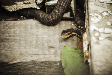 Similar image 12346992