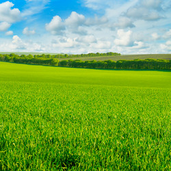 Similar image 12347388