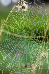 Similar image 12347240