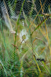 Similar image 12347249