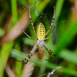 Similar image 12347254