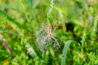 Similar image 12347255