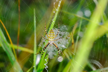 Similar image 12347256