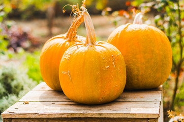 Similar image 12347129