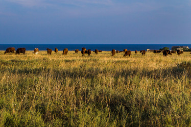 Similar image 12347132