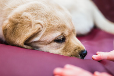 Similar image 12347143