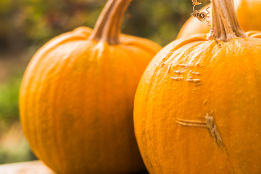 Similar image 12347146