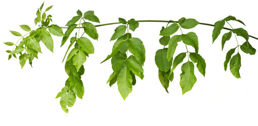 Similar image 12350223