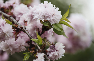 Similar image 12346996