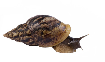 Similar image 12346997