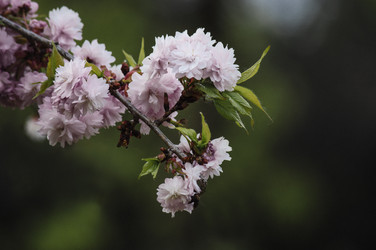 Similar image 12346998