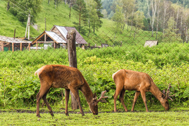 Similar image 12346826