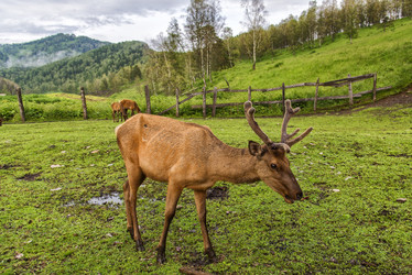 Similar image 12347793