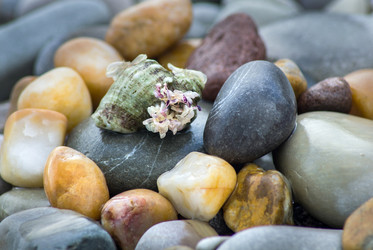 Similar image 12346762