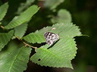 Similar image 12346764