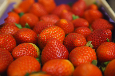 Similar image 12346926