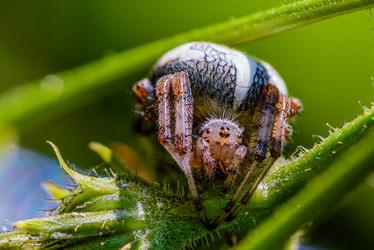 Similar image 12347259