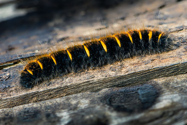 Similar image 12347261