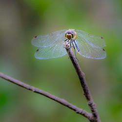 Similar image 12347278