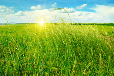 Similar image 12347393