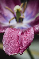 Similar image 12346999