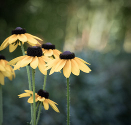 Similar image 12347000