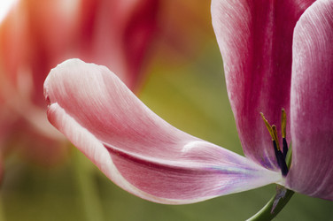 Similar image 12347001