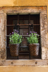 Similar image 12346882