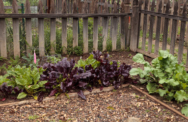 Similar image 12350427