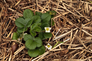 Similar image 12350429