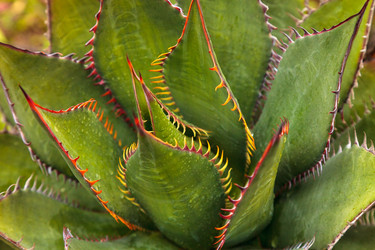 Similar image 12350430