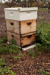 Similar image 12350448