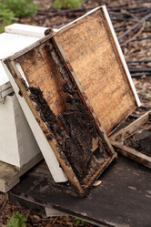 Similar image 12350449