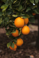 Similar image 12350450