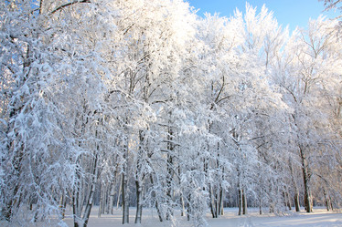 Similar image 12347034