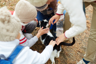 Similar image 12349446