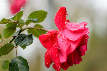 Similar image 12349922