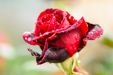 Similar image 12349924