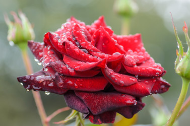 Similar image 12349925