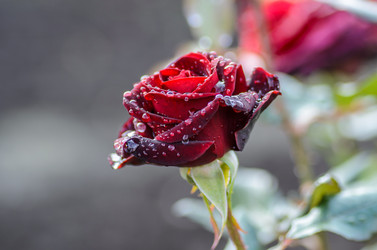 Similar image 12349928