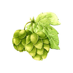 Similar image 12348663